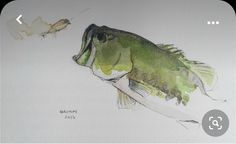 a drawing of a fish and a bird on a white paper with watercolor pencils