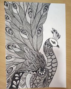 a black and white drawing of a peacock with feathers on it's back side