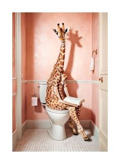 a giraffe sitting on top of a white toilet in a pink walled bathroom