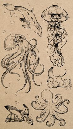 an octopus, squid, and jellyfish tattoo design on a piece of parchment paper