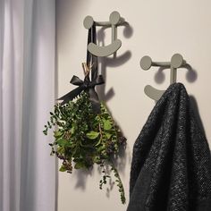 two hooks holding plants hang on the wall