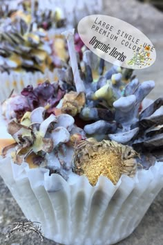 there are many different types of flowers in the cupcakes