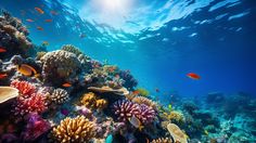 an underwater view of corals and tropical fish in the ocean with sunlight shining on them