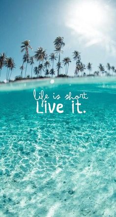 an ocean with palm trees and the words life is short live it