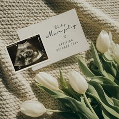 tulips and birth announcement on knit blanket with postcard for baby maupier