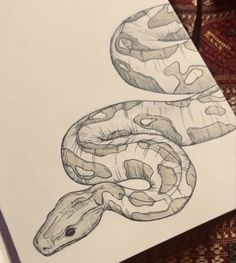 a drawing of a snake on top of a piece of paper