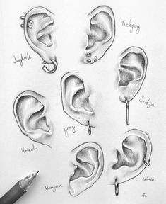 a pencil drawing of different types of ear