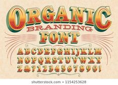 Circus Letters Images, Stock Photos & Vectors | Shutterstock | Organic branding, Typography alphabet, Lettering design . #Circus_Letters #Branding_Display #Organic_Branding #3d_Font