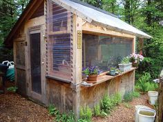 a small wooden building sitting in the middle of a forest filled with trees and plants