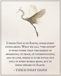 a white bird flying through the air with a quote on it's back side