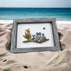 an image of rocks and plants in a frame on the beach