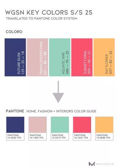 the pantone color guide for fashion and interior