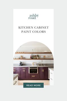 the kitchen cabinet paint colors are shown in this brochure, and it is also available