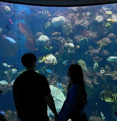 two people standing in front of an aquarium looking at the fish and corals inside