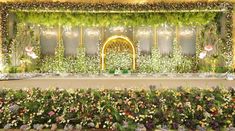 Reception Stage Decor Outdoor, Reception Stage Decoration Indian Indoor, Reception Stage Decoration, Enchanted Theme, Hall Decorations