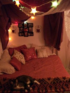 a cat laying on top of a bed under a canopy with lights hanging from it