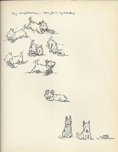 an old book with drawings of dogs and cats