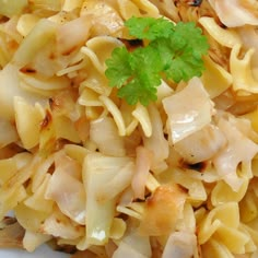 pasta with chicken and parsley in a white bowl