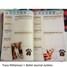 Journal Ideas Scrapbook, Pet Planner, Dog Tracker, Bullet Journal Key, Journal Bullet, Bullet Journal Ideas, Passion Planner