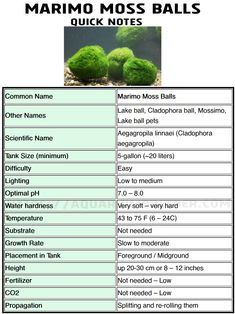 the names and numbers of different types of moss balls