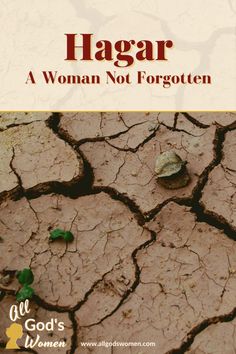 a book cover for hagar a woman not forgotten by all god's women