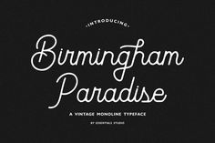 ES Birmingham Paradise, Script and Handwritten ft. monoline & modern - Envato