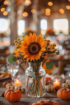 a vase filled with sunflowers sitting on top of a table covered in pumpkins