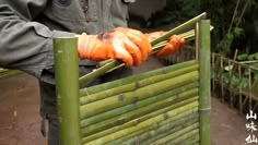 a person holding bamboo sticks with orange gloves on it's hands, in front of a bamboo fence