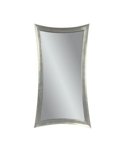 a mirror that is on the wall in front of a white background with a silver frame