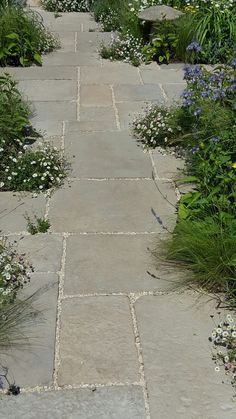 a stone walkway surrounded by flowers and plants