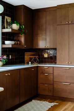 a kitchen with wooden cabinets and tile backsplash, potted plants on the counter