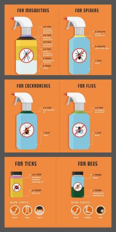 an info poster showing how to use insecticides