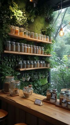 the shelves are filled with jars and plants in front of a window that is covered in moss