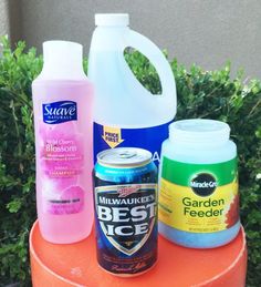 several different types of cleaning products sitting on top of an orange table next to bushes