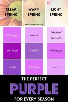 Purple for Every Color Season – Find Your Perfect Purple Hue - Radiantly Dressed True Spring Makeup, Bright Spring Color Palette, Color Analysis Winter, Season Analysis