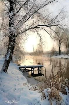 a picnic table sitting in the snow next to a tree and lake with ice on it