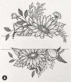 some flowers and leaves are drawn in black ink on white paper, with two horizontal lines behind them