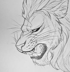 a drawing of a lion's head with its mouth open