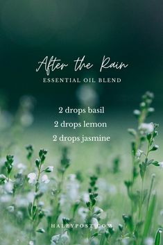 Floral Essential Oil Blends, Floral Essential Oils, Essential Oil Combinations, Magia Das Ervas, Essential Oil Diffuser Recipes, Oil Diffuser Recipes, Essential Oil Blends Recipes