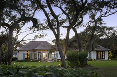 a large house with trees in front of it at dusk or dawn, surrounded by lush greenery