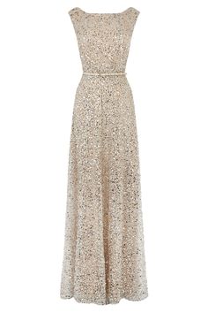 Nude neutral long gown belted shimmer Dresses | Greys DESIRE SEQUIN MAXI | Coast Stores Limited Sequin Evening Gowns, Sequin Maxi, Wedding Bridesmaid Dresses, Gold Dress, Mode Inspiration, Rehearsal Dinner, Beautiful Gowns