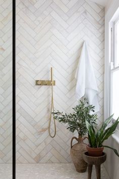 a bathroom with white tile and gold fixtures, including a shower head next to a potted plant