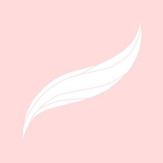 a white feather on a pink background