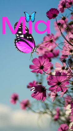 a purple flower with a butterfly on it and the word mia in front of it