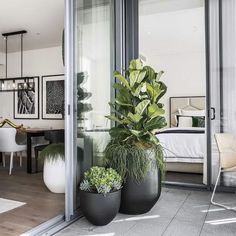 two large planters sitting on top of a hard wood floor next to a bed