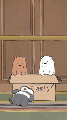 two bears are sitting in a box on the floor