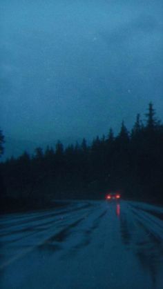 cars driving down a wet road at night with trees on both sides and dark sky in the background