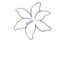 a drawing of a flower on a white background with blue lines in the bottom corner