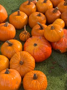 many orange pumpkins are laying on the green grass and ready to be picked up