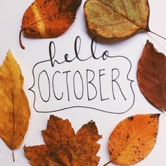 the words hello october written in black ink surrounded by autumn leaves on a white background